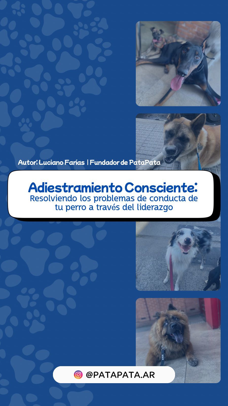 Adiestramiento consciente: Resolviendo los problemas de conducta de tu perro a traves del liderazgo