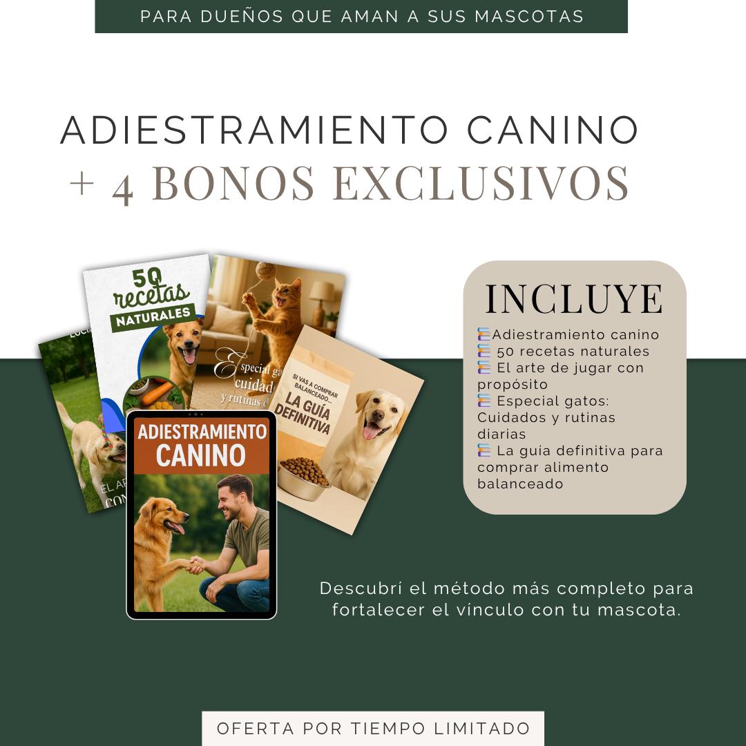 OFERTA ESPECIAL: Comprá 1 y llevate 5 Ebooks en total